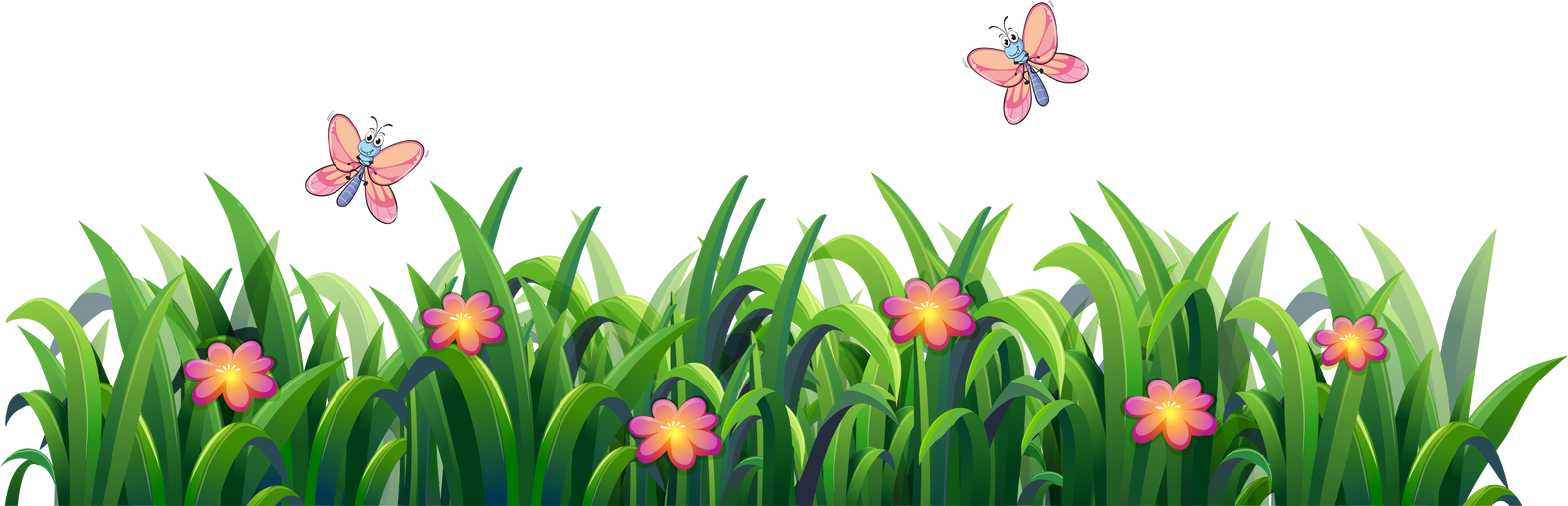 Isolated grass for decor